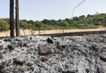 Manisporche: “Lo strano caso dell’incendio a Lamascrasciola”. Due interventi dei Vigili del Fuoco per domare le fiamme