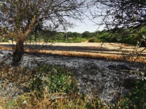 incendio lamascrasciola9