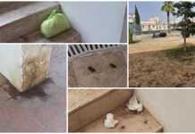 Sottopasso di Largo Simone Veneziani tra escrementi, sporcizia e degrado