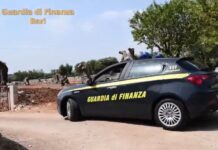 Monopoli, ulivi secolari potati senza autorizzazione. Tre denunciati