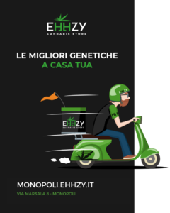 EHHZY MONOPOLY DELIVERY 1