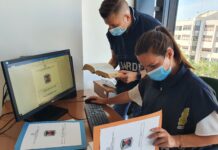 Operazione “Scommessa”: confiscati immobili, imbarcazioni, gioielli e denaro per 22milioni di euro