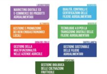 ITS Agroalimentare Puglia, 7 corsi sul territorio regionale finanziati al 100%