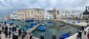 gozzovigliando2
