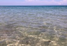 Monopoli, all’ Istituto Luigi Russo al via il progetto sub “Vivere il mare”