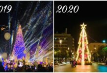 Monopoli, a Natale un albero di 22 metri con 30mila luci. Il 7 dicembre l’accensione