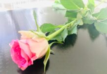 Morte 13enne a Monopoli, il Pd: “Prevenire eventi drammatici”. Chiesto un consiglio comunale monotematico