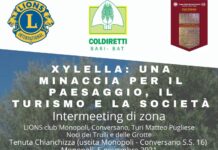 “Xylella: una minaccia per il paesaggio, il turismo e la società ”, domani un incontro