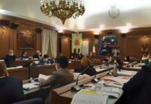 Monopoli, la questione blatte e topi lunedì in consiglio comunale