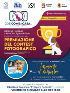 contest canile