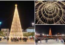 Monopoli brilla, acceso il grande albero di Natale con 30mila luci