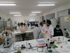 open days