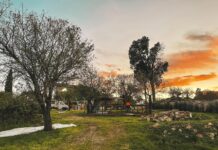 A Monopoli la magia del Natale con 4 presepi viventi: dove e quando visitarli