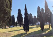 Monopoli, quasi 17 milioni per l’ampliamento del cimitero. Campo per le sepolture di defunti di altre religioni