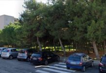 Pineta, il Comitato: “C’è il rischio di trasformare un’oasi di pace in un luogo senza controllo”