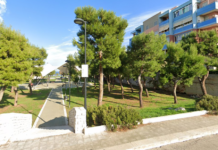 Monopoli, un parco urbano tra via Ariosto e via Grandi. Il Comitato: “No all’abbattimento dei pini”