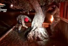 Spaccio di cocaina a Castellana Grotte, 3 arresti. Il video dell’operazione dei Carabinieri