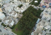 Riqualificazione pineta Monopoli, Quadrosfera: “Vorremmo discuterne e dare consigli”