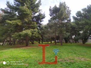 pineta via achille grandi