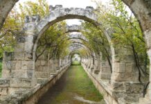 Giornate Fai di Primavera a Monopoli, week-end alla scoperta del Giardino Galderisi