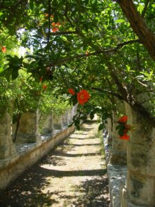 giardino galderisi