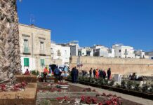 Malore alla Portavecchia mentre chiacchiera con gli amici, anziano soccorso
