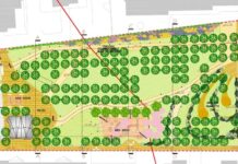 Parco urbano, la variante al progetto. Ciliegi ornamentali e querce al posto dei pini abbattuti