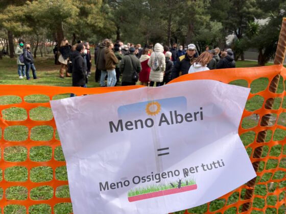 pienta 19