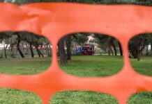 Monopoli, il Comitato: “Pineta di via Grandi distrutta per opere di cui non si sentiva la necessità.”