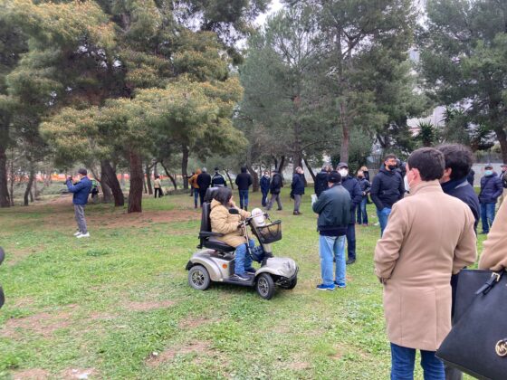 pineta 12