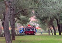 Pineta via Grandi/via Ariosto, ecco un’altra lettura del progetto
