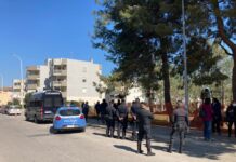 Monopoli, i pini vanno giù tra le proteste. Arrivano Polizia e Carabinieri