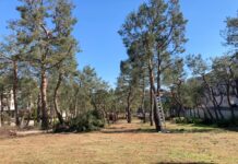 La riflessione del lettore: “Il parco di via Grandi, un cavallo di Troia?”