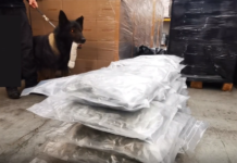 Sequestrati 56kg di droga: erano nel magazzino di una ditta di logistica