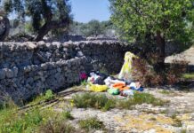 Monopoli, i resti del pic-nic di Pasqua (e il Cud) tra gli ulivi: 600 euro di sanzione