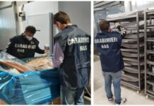 Mangiano tonno e finiscono in ospedale intossicati. Perquisizioni dei Nas