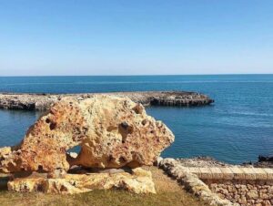 porto pino 2