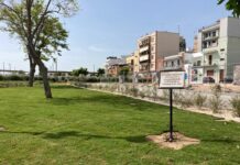 Un prato vicino all’ex G. Modugno, riqualificazione della passeggiata sul mare
