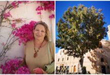 Una dedica a Monopoli da Carmen Gesmundo, poetessa di Bolzano