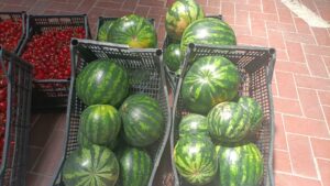 frutta