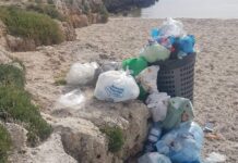 Spazio Civico: “Il decoro urbano deve essere una priorità per tutti”