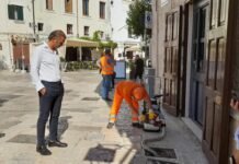Lotta alle blatte, a Monopoli intervento straordinario. Annese: “Quest’anno fenomeno più diffuso”