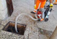 Monopoli, mercoledì derattizzazione, deblattizzazione e disinfestazione. E c’è un numero verde per le segnalazioni