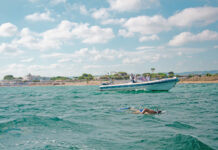 L’impresa del Barone: 4km a nuoto con mare forza 4. La sua è una maratona di pace