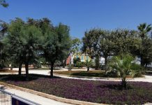 Monopoli, pranzo in villa comunale, turisti con tovaglie sulle panchine: sanzionati