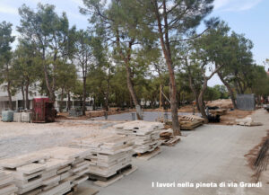 Lavori nella pineta di via Grandi