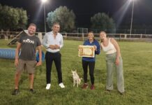 Trova per strada un cucciolo e ne fa una campionessa: Milù 3 volte sul podio ai Mondiali meticci IMCA