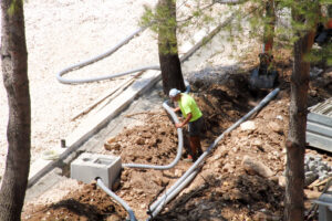 progetto pineta 4.7.22IMG 2560