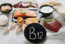 L’importanza della Vitamina B12 e gli alimenti che la contengono