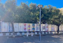 Elezioni politiche, domenica 40.389 monopolitani chiamati al voto. Tutte le informazioni utili